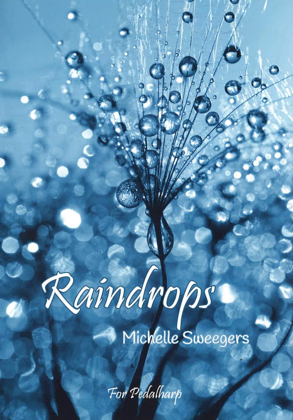 SWEEGERS Michelle : Raindrops