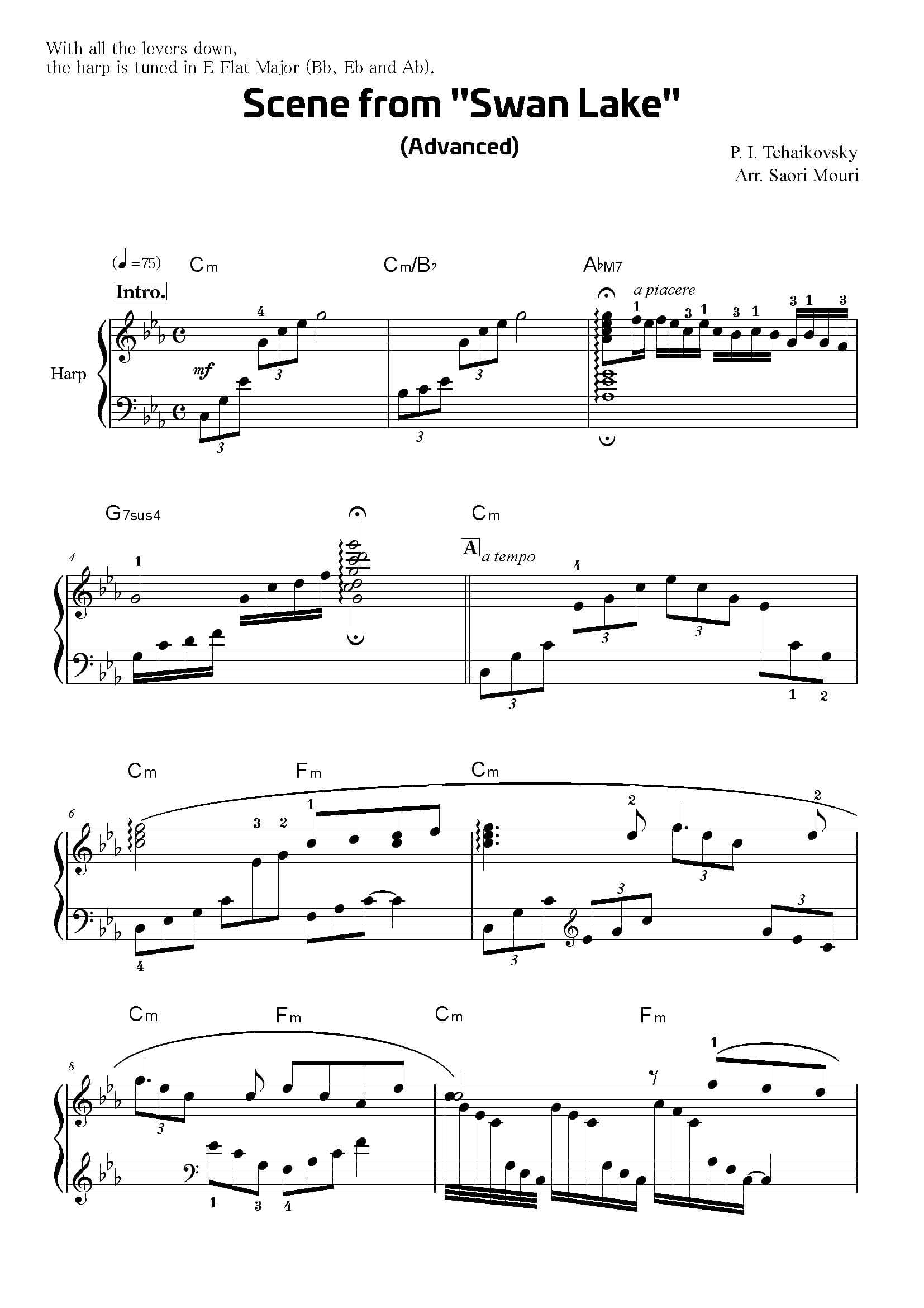 TCHAIKOVSKY P. I.: Szene aus "Schwanensee"; Bearbeitung von Saori Mouri