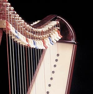 Darmsaiten-Set für Troubadour 22 Saiten (nicht geeignet für Bardic): C 00 bis C 20