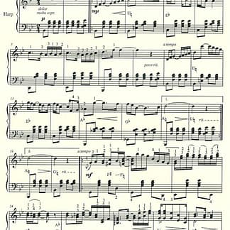 RYDEN William : Sadly, Sadly, Little Rag - Arr. Curcio / für Pedalharfe