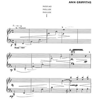 GRIFFITHS Ann : Un Noeud Gallois
