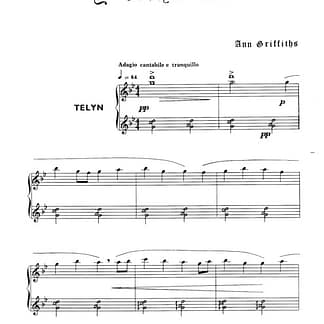 GRIFFITHS Ann : Harp of Gold