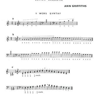GRIFFITHS Ann : 7 Lektionen für Anfänger