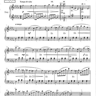 IZMAYLOV Andres : Saint Petersburg - Vienna Concerto Waltz Solo