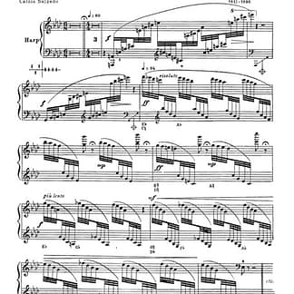 SALZEDO Carlos : Famous Harp Cadenzas (PH)