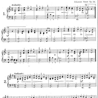 SNOER Johannes : 29 kleine Konzertstudien Op. 24