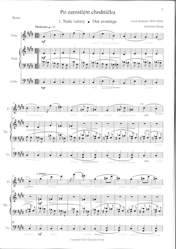 JANACEK Leos : On an overgrown path, für Flöte, Cello und Harfe, Arr. STOOP Ernestine – Bild 2
